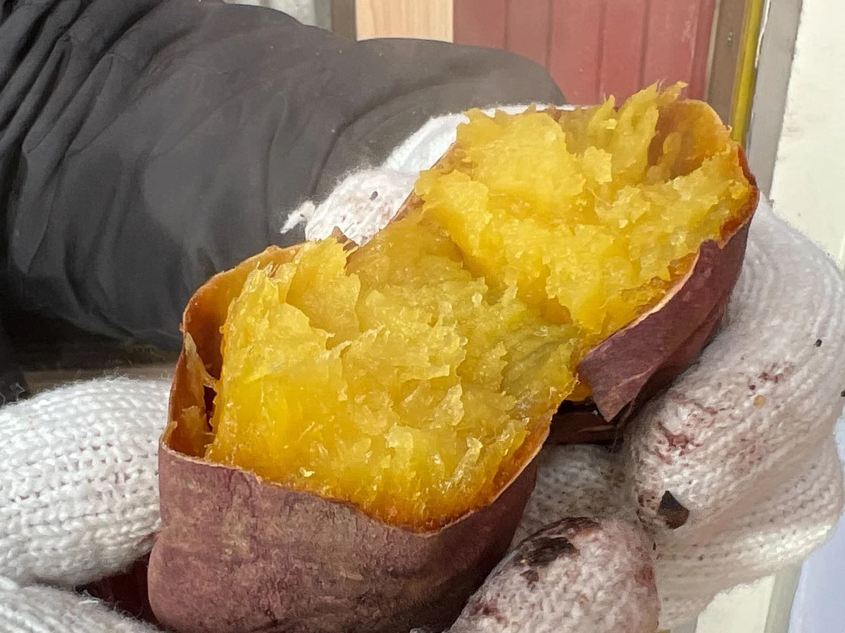 半分に割った焼き芋の黄色い果肉